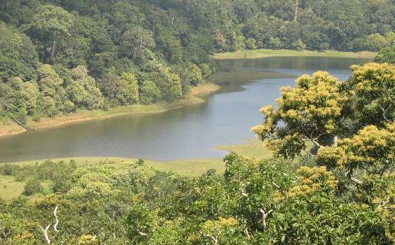 Voyage sur-mesure, Parc National de Periyar (Thekkady)